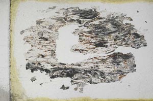 Plane Polarized, S11141