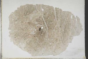 Plane Polarized, S11144