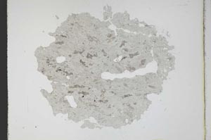 Plane Polarized, S11150