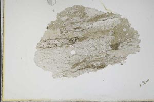 Plane Polarized, S11161