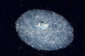 Cross Polarized, S11162