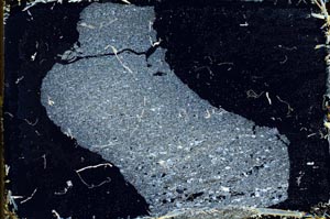 Cross Polarized, S11167