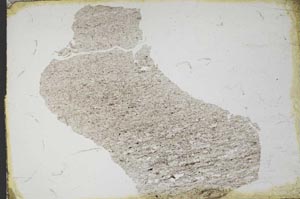 Plane Polarized, S11167