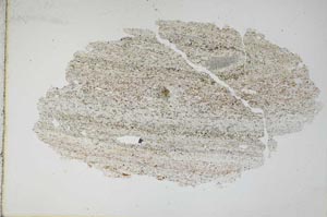 Plane Polarized, S11180