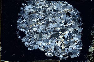 Cross Polarized, S11182