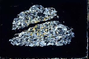 Cross Polarized, S11183