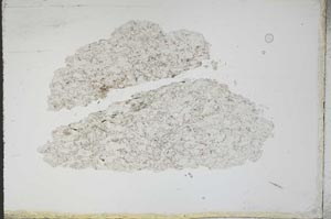 Plane Polarized, S11183