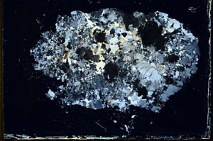 Cross Polarized, S11184