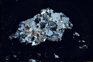 Cross Polarized, S11185