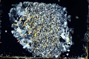 Cross Polarized, S11186