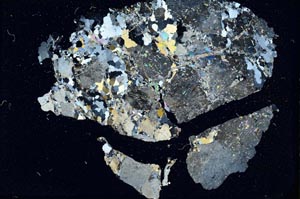 Cross Polarized, S11187