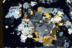 Cross Polarized, S11188