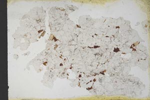 Plane Polarized, S11188