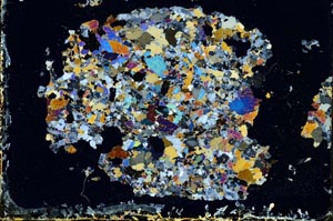 Cross Polarized, S11189