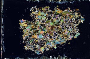 Cross Polarized, S11190