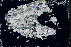 Cross Polarized, S11191