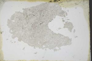 Plane Polarized, S11191