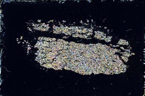 Cross Polarized, S11192