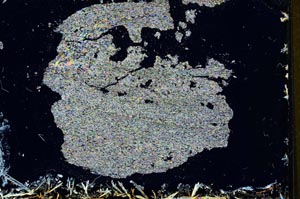 Cross Polarized, S11193