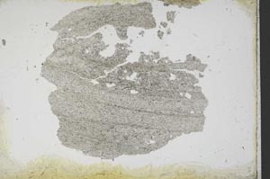 Plane Polarized, S11193