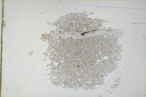 Plane Polarized, S11198