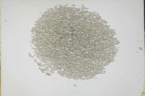 Plane Polarized, S11211