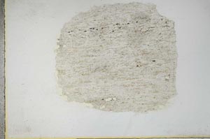 Plane Polarized, S11212
