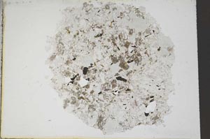 Plane Polarized, S11217