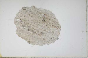 Plane Polarized, S11227