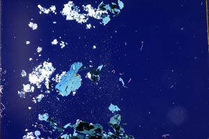 Cross Polarized, S11230