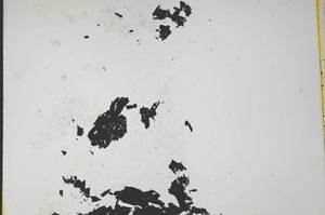 Plane Polarized, S11230