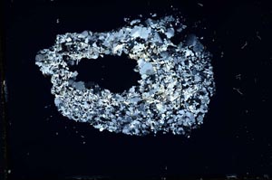 Cross Polarized, S11230/A