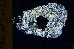 Cross Polarized, S11230/B