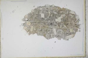 Plane Polarized, S11232