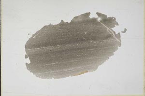 Plane Polarized, S11248