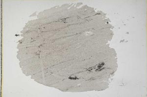 Plane Polarized, S11251