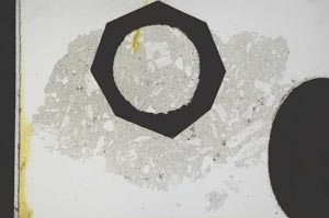 Plane Polarized, S11256