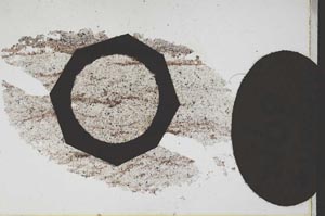 Plane Polarized, S11259
