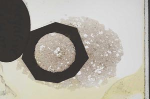 Plane Polarized, S11264