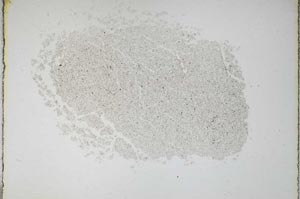Plane Polarized, S11268