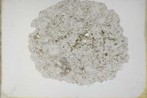 Plane Polarized, S11277