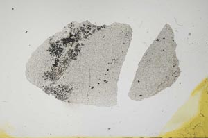 Plane Polarized, S1600
