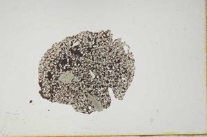Plane Polarized, S1613