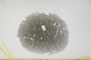 Plane Polarized, S1616