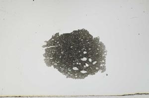 Plane Polarized, S1620
