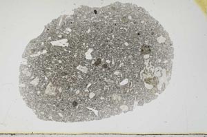 Plane Polarized, S1622
