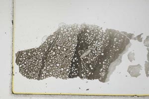 Plane Polarized, S1631