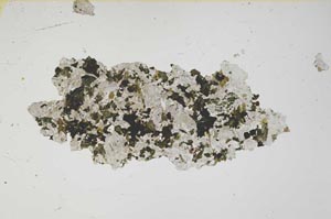 Plane Polarized, S1632