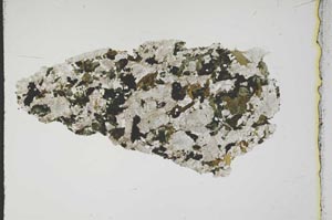 Plane Polarized, S1633