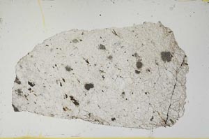 Plane Polarized, S1639